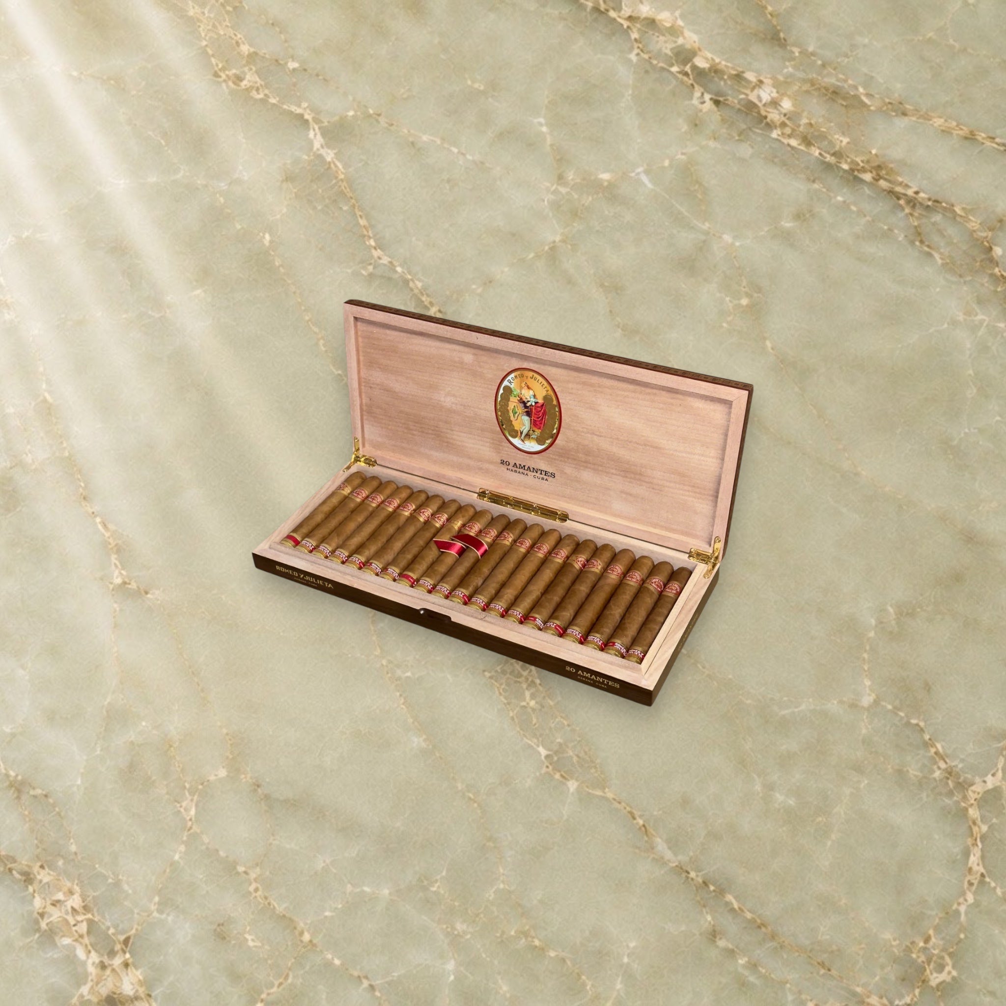 Romeo y Julieta Amantes